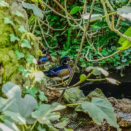 Casa Vela Boutique House & Konukevi 4*