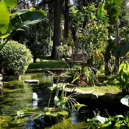 Casa Vela Boutique House & 卡斯凯什