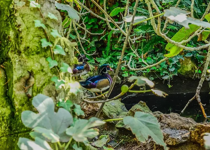 Casa Vela Boutique House & Pensión 4*