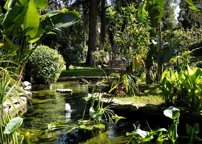 Casa Vela Boutique House & Cascaes