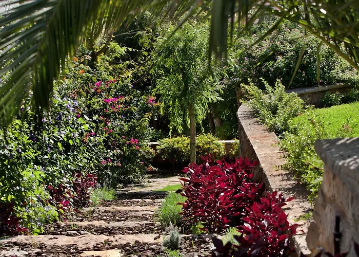 Casa Vela Boutique House & Cascaes